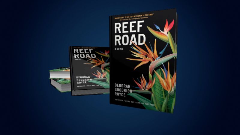 Former ‘Days of our Lives’ star Deborah Goodrich Royce talks new book ‘Reef Road’ | CNN
