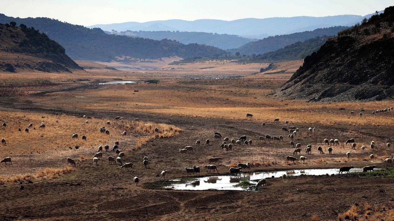 The dried-up Guadiana river in the central-western Spanish region of Extremadura, in August, 2022. 