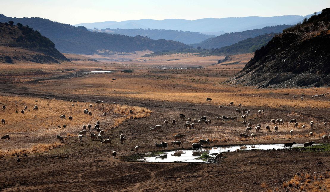 The dried-up Guadiana river in the central-western Spanish region of Extremadura, in August, 2022. 