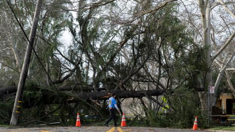 कैलिफोर्निया के सैक्रामेंटो में रविवार को एक गिरे हुए पेड़ ने एच स्ट्रीट को ब्लॉक कर दिया।