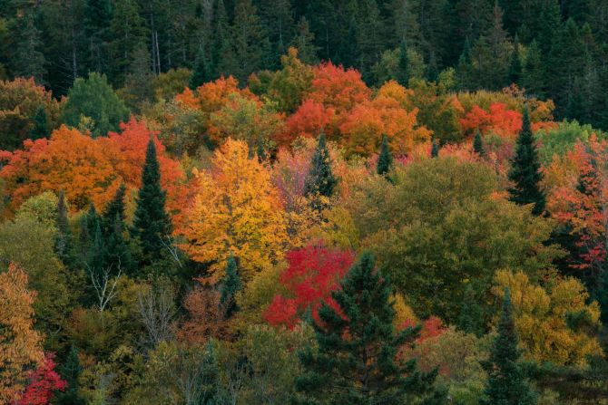 New York-based Transcend is offering a new kind of green burial.