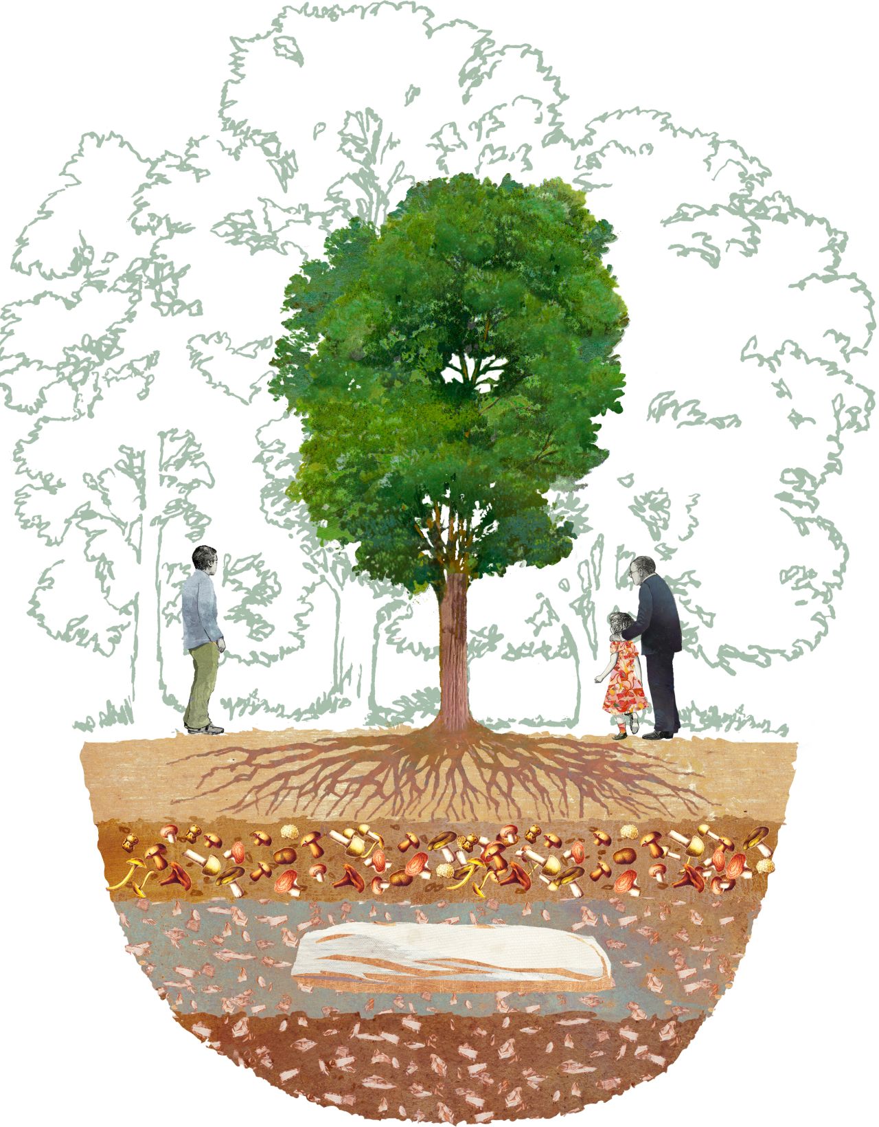 An illustration demonstrating the tree burial concept. Transcend buries the body surrounded by wood chips, local soil and a mix of fungi, designed to help compost the human remains and encourage the tree above to take up the body's nutrients. <strong><em>To learn more about the green burial movement and more sustainable funeral practices, scroll through the gallery.</em></strong>