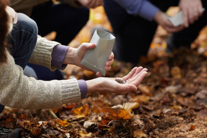 Better Place Forests allows loved ones to scatter ashes at designated trees.