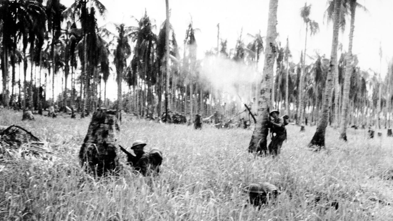 Australian forces advance through a coconut grove and kunai grass in Japanese-occupied New Guinea in February 1943 during World War II.