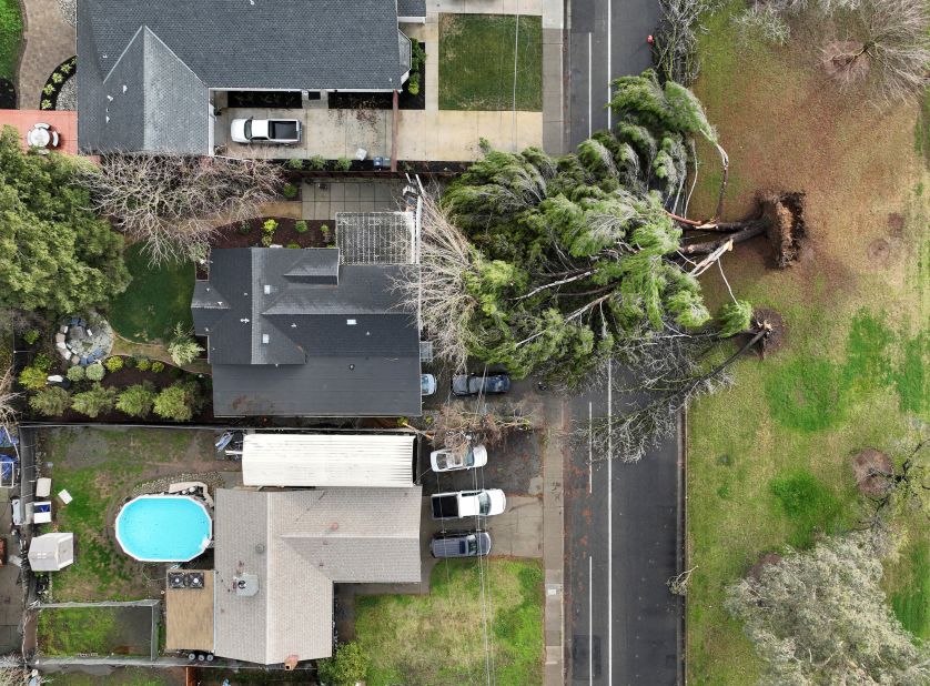 This aerial photo shows a tree that fell in Sacramento on Sunday.