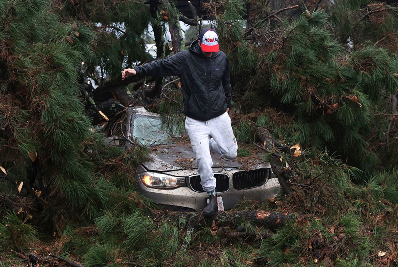 Boone White leaps from his car after a large tree fell on it while he was driving near Capitola.