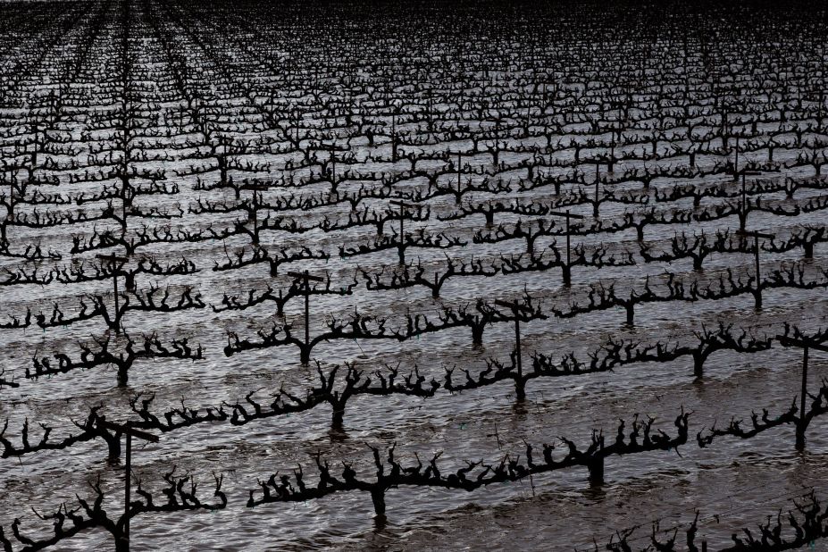A vineyard is flooded Wednesday in Walnut Grove.