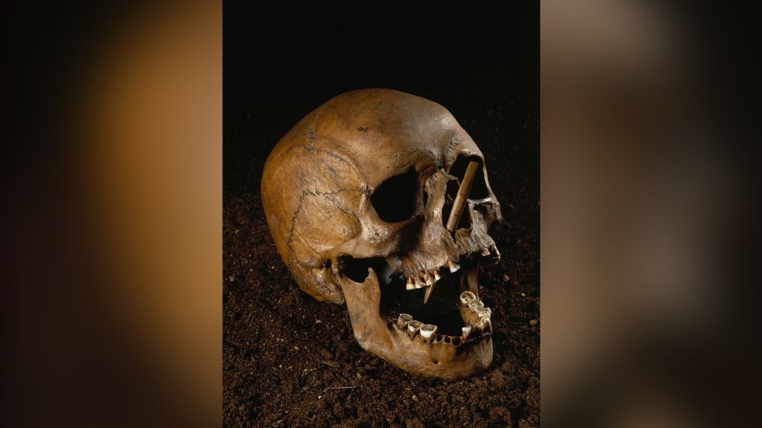 Porsmose Man met a violent death. Bone arrowheads were found embedded in his skull and sternum.   