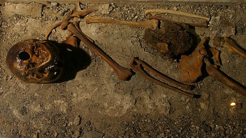 The Neolithic Raspberry Girl, or Hallonflickan, got her name because a lot of raspberry seeds were found near her stomach — evidence of her last meal.    Brutality of prehistoric life revealed by Europe&#8217;s bog bodies 230110122122 03 bodies buried bogs study