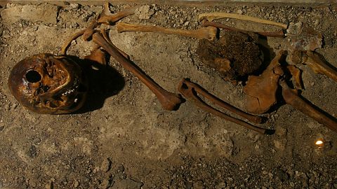 The Neolithic Raspberry Girl, or Hallonflickan, got her name because a lot of raspberry seeds were found near her stomach — evidence of her last meal.  