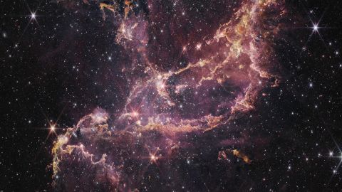 Een stervormingsgebied genaamd NGC 346 bevindt zich in een nabij dwergstelsel genaamd de Kleine Magelhaense Wolk.