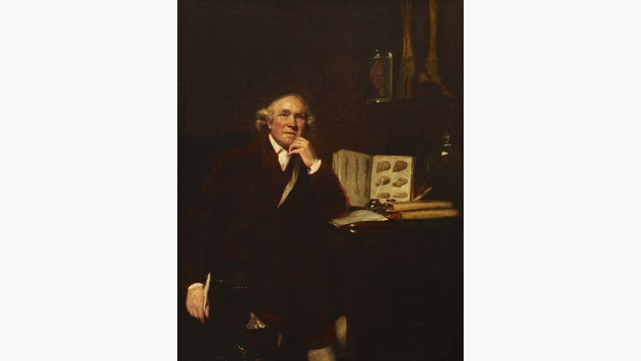 The portrait of John Hunter by Joshua Reynolds will go on display in the museum.
