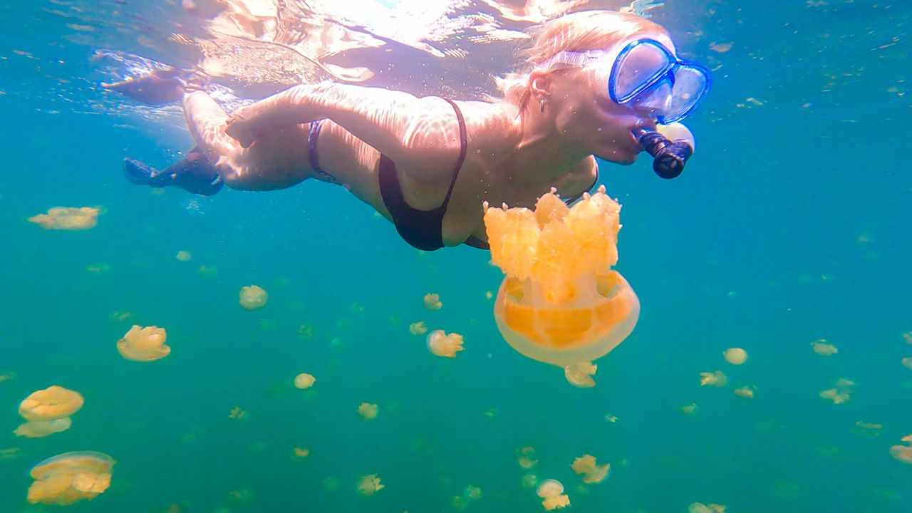 <strong>Underwater fun:</strong> Sebova swimming with jellyfish in Palau, a tropical archipelago in the western Pacific.