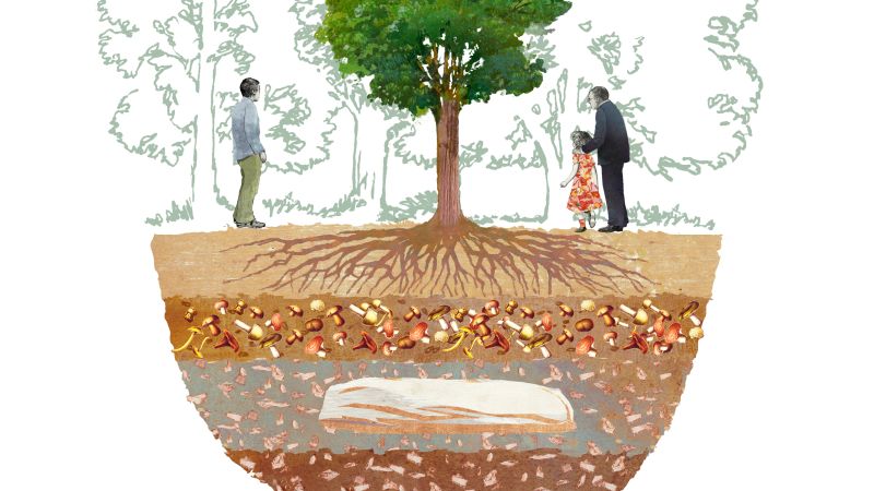 Why this green burial startup wants to turn people into trees | CNN