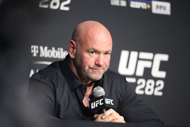 UFC president Dana White does not expect punishment for domestic violence incident CNN
