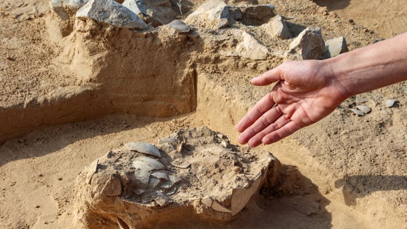 4,000-year-old eggs discovered near ancient fire pit