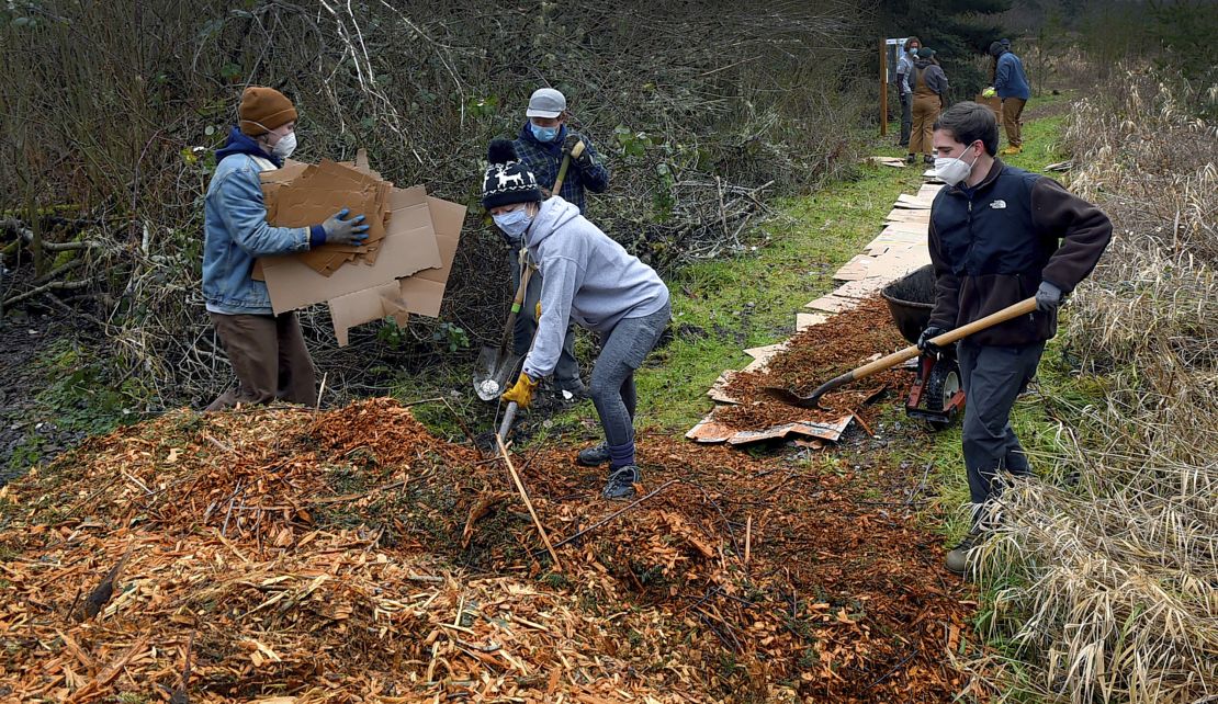 Volunteers pitch in during a Martin Luther King Jr. Day of Service project on Monday, Jan. 17, 2022 near Olympia, Washington.
