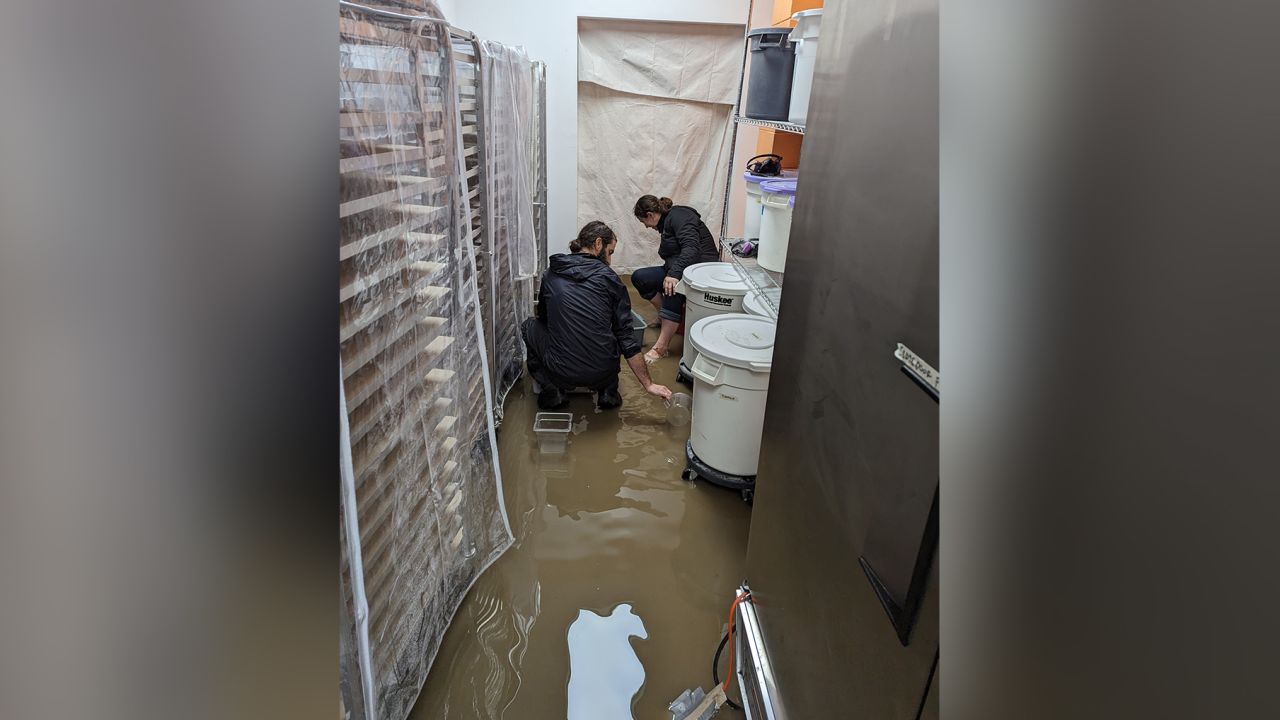 Water flooded the milling room in Sam DeNicola's bakery in San Luis Obispo, California, earlier this week.