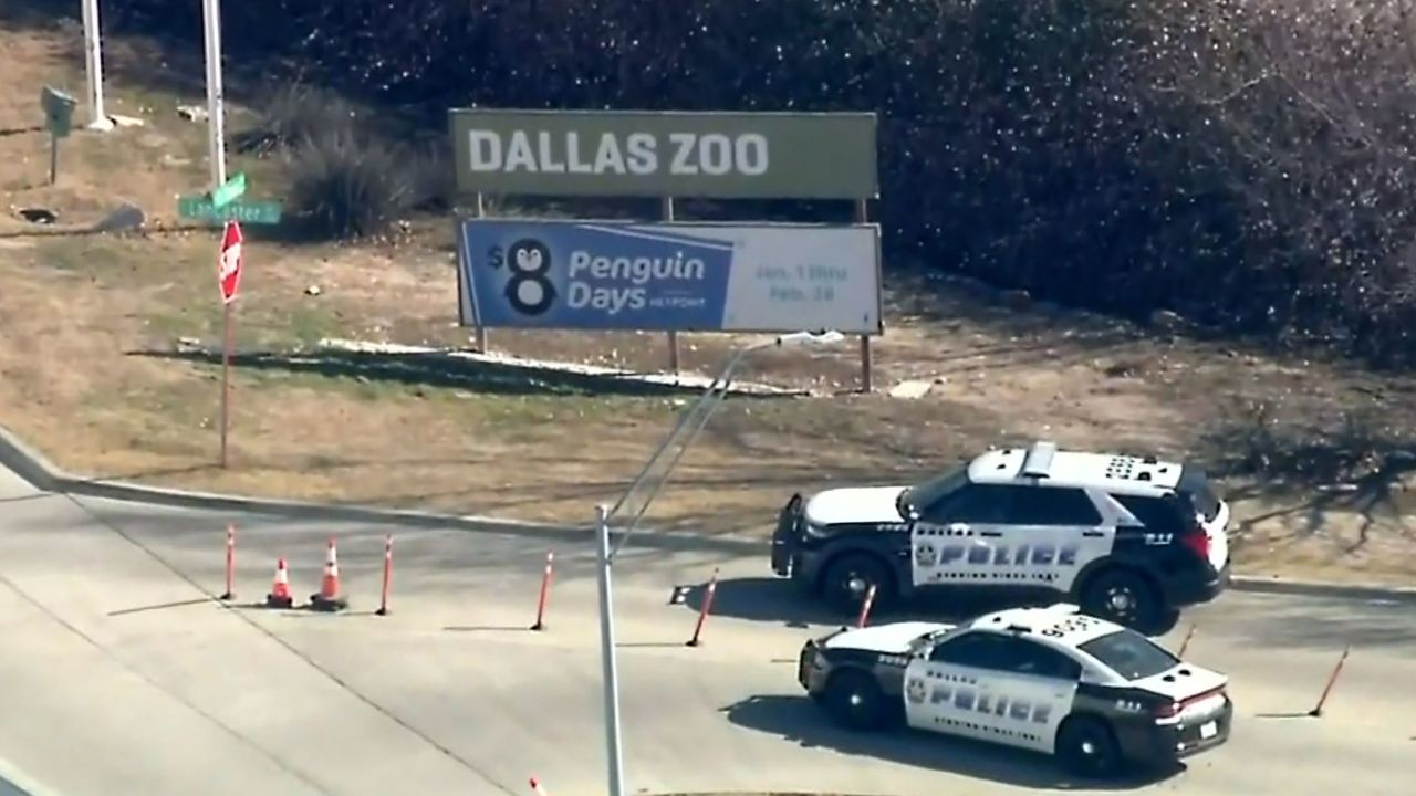 The Dallas Police Department launched a criminal investigation after determining that Nova's fencing had been intentionally cut.