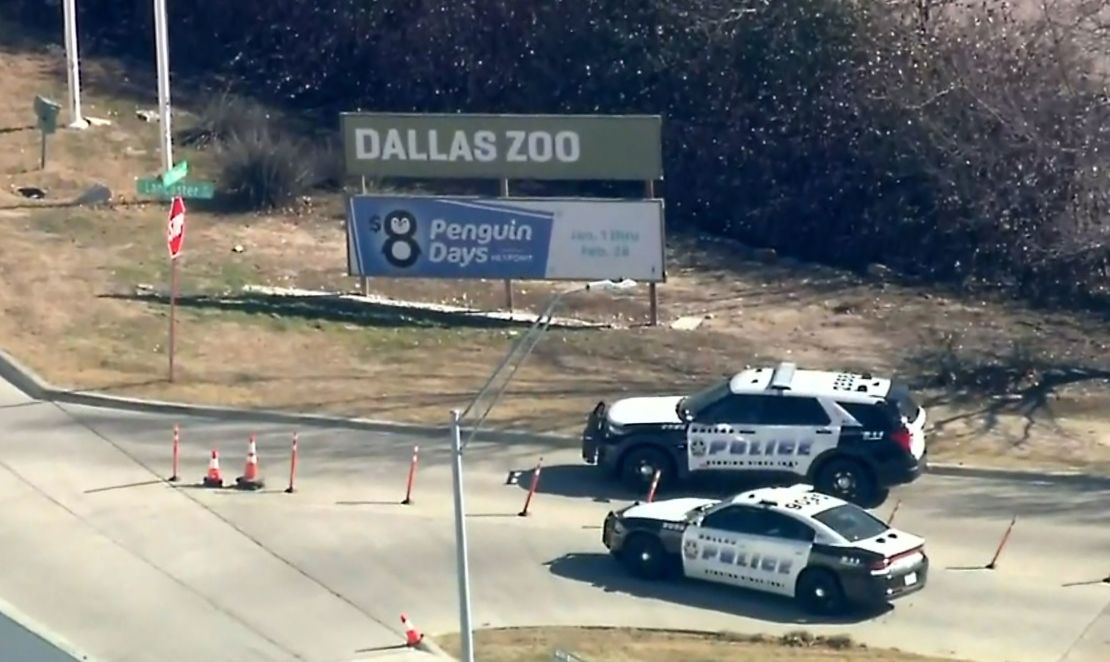 The Dallas Police Department launched a criminal investigation after determining that Nova's fencing had been intentionally cut.