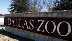 A Dallas police vehicle sit at an entrance at the Dallas Zoo, Friday morning, Jan. 13, 2023. A missing clouded leopard shut down the zoo on Friday as police helped search for the animal that officials described as not dangerous and likely hiding somewhere on the zoo grounds. 
