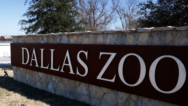 Police are investigating a vulture’s death at the Dallas Zoo as ‘suspicious’ | CNN