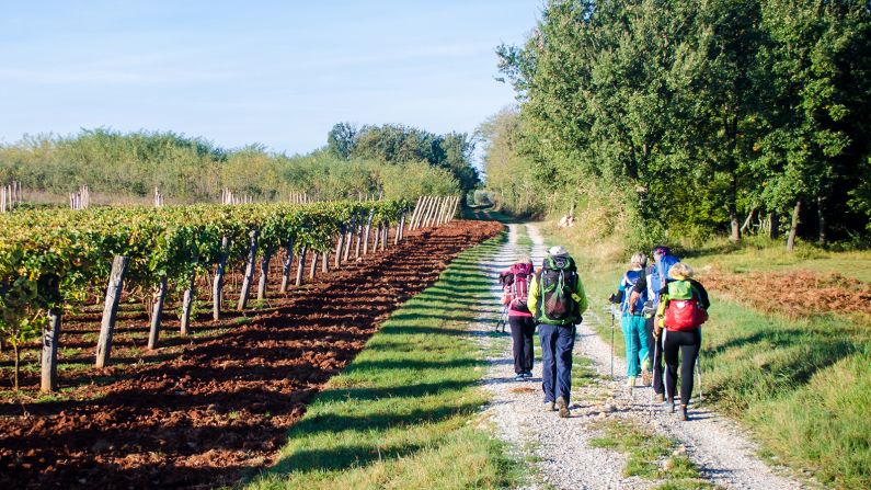 <strong>Riding the rails: </strong>Istria's Parenzana Trail follows the route of a disused railway line for about 80 miles. 