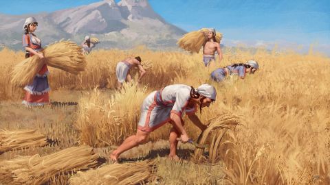 Bronze Age family harvesting grain, as depicted by artist Nikola Nevenov.