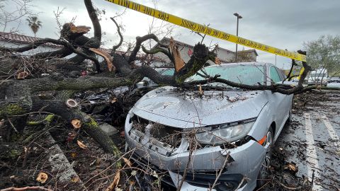Damaged cars sit beneath a fallen tree at the El Camino Shopping Center on Mulholland Drive in Woodland Hills, California.