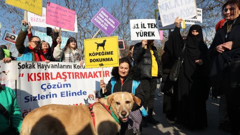 Animal rights activists hold a protest demanding the end of animal killing and the improvement of animal shelter conditions in Ankara, Turkey on Sunday.  