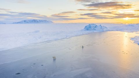Florian Ledoux: The icy patience of an Arctic photographer | CNN