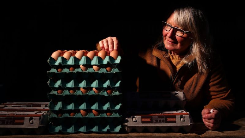 You are currently viewing Egg shortage sends New Zealanders rushing to buy their own hens – CNN
