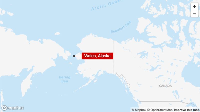 A polar bear killed a woman and a boy after chasing residents in Alaska town | CNN
