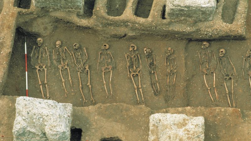 Origins of plague could have emerged centuries before outbreaks new study suggests – CNN