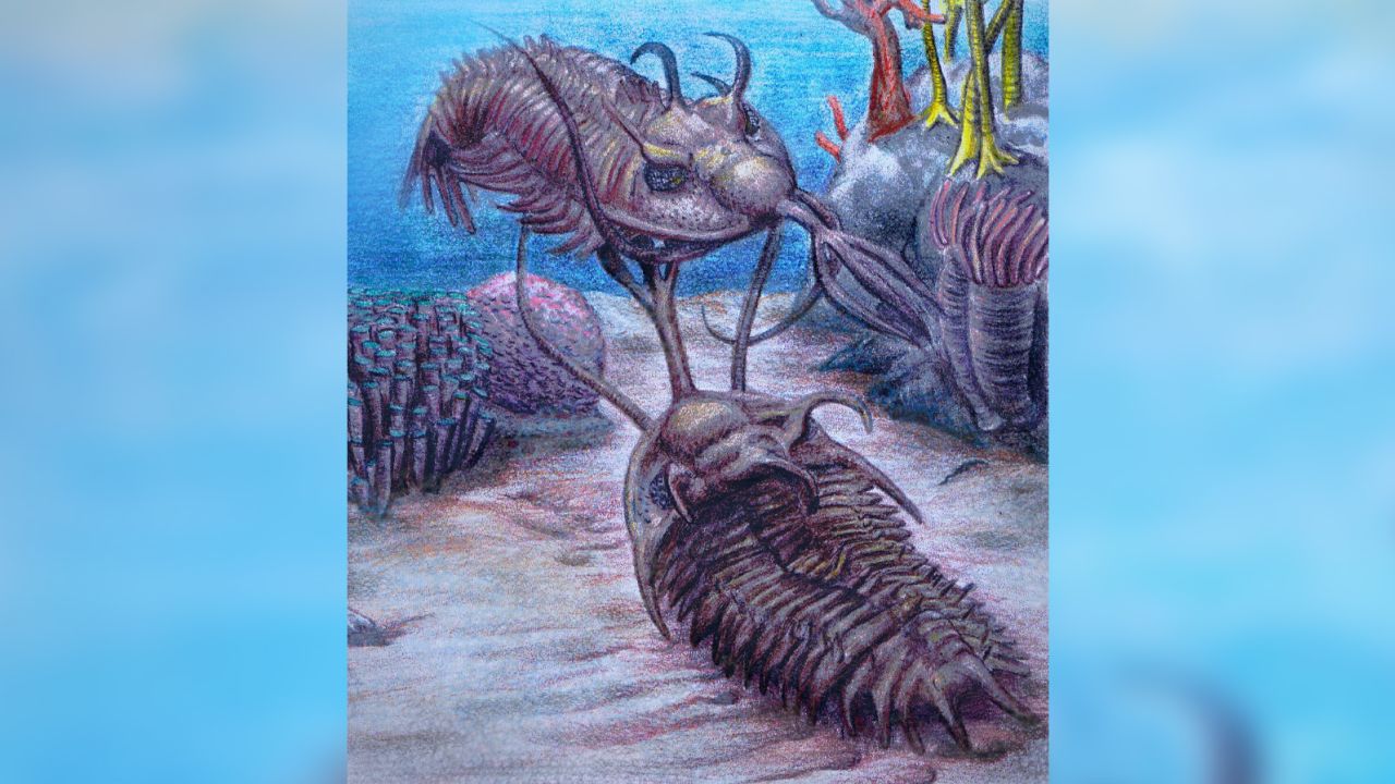 The purpose of the trident branching off trilobites' heads has long intrigued researchers.