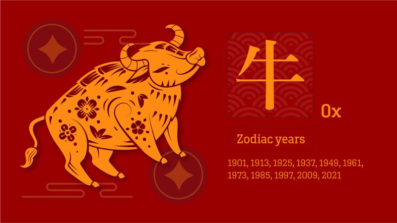 Chinese zodiac fortune predictions 2024 What s in store for the