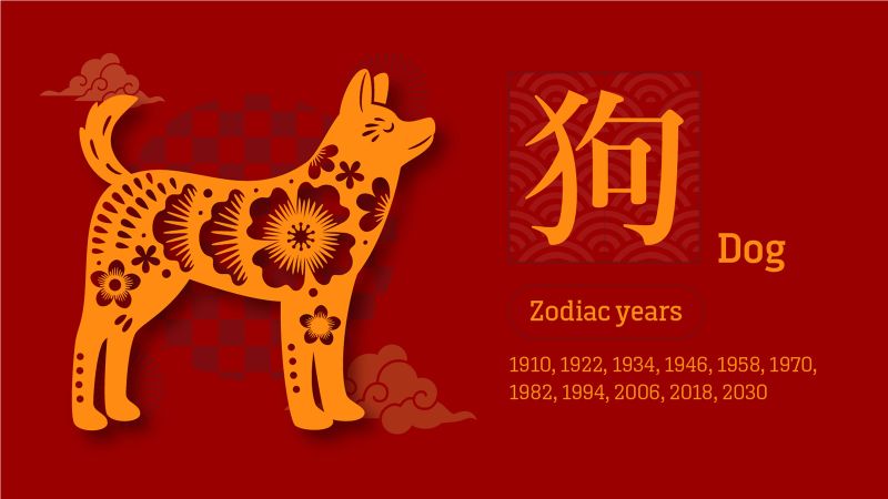 Chinese zodiac fortune predictions 2024 What s in store for the