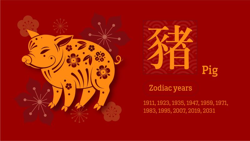 Chinese zodiac fortune predictions 2024 What s in store for the