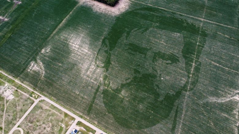 The face of Argentine football star Lionel Messi is depicted in a corn field sown with a special algorithm to plant seeds in a certain pattern to create a huge visual image when the corn plants grow, in Los Condores, on the outskirts of Cordoba, Argentina January 15, 2023. REUTERS/Agustin Marcarian     TPX IMAGES OF THE DAY     
