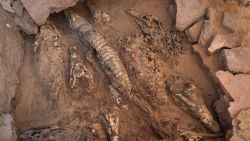 Mummified Crocs tumb