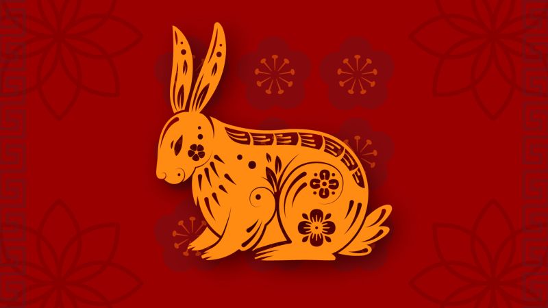 Chinese zodiac fortune predictions What s in store for the Year