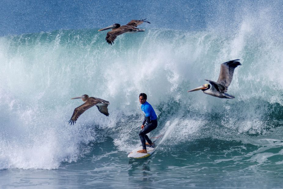 Brown pelicans fly past US surfer Eli Hanneman as he competes in the World Surf League's World Junior Surf Championships in Encinitas, California, on Friday, January 13.