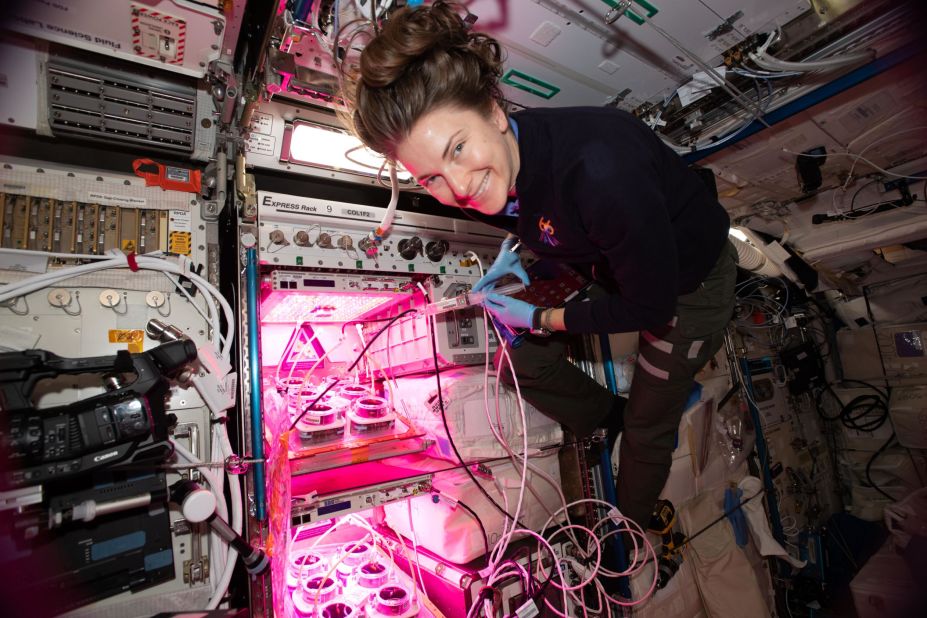 On a small scale, astronauts are already growing crops aboard the International Space Station (ISS). Pictured here, Kayla Barron works on a space agriculture experiment aboard the ISS.