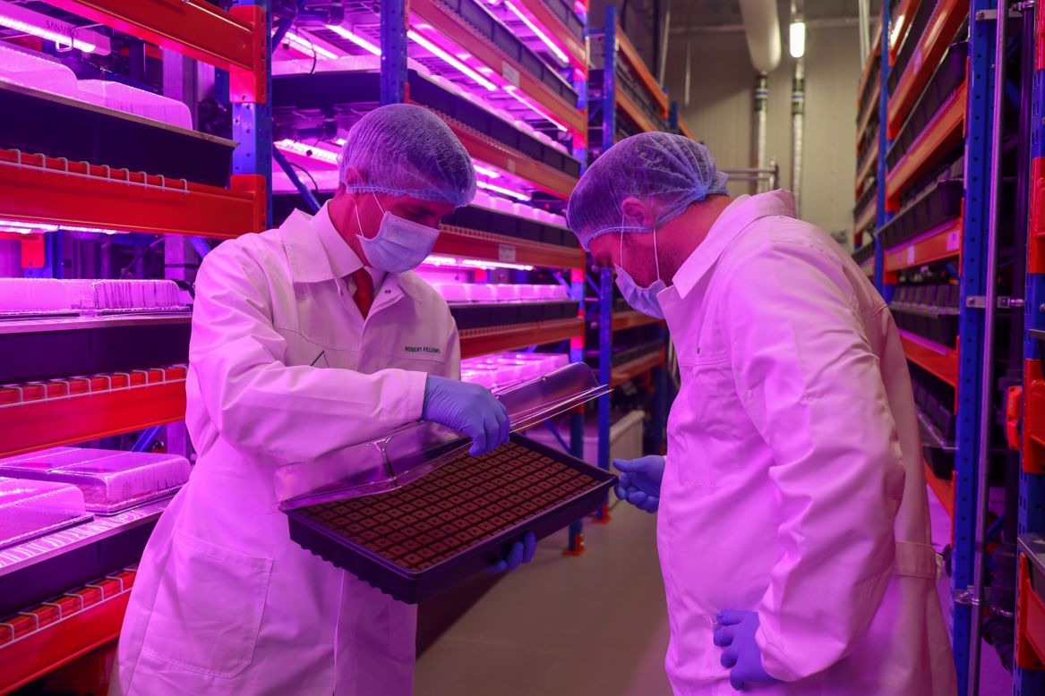 Vertical farming delivers nutrient-rich water directly to a plant's roots. This can vastly reduce water and fertilizer usage compared to traditional outdoor agriculture.