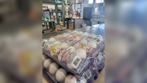 A Customs and Border Protection image shows eggs that a traveler tried to bring into the United States on Jan. 18 at the Paso Del Norte Domestic Crossing in El Paso, Texas.