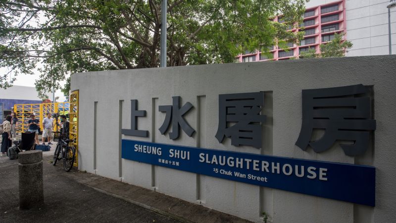 Struggling pig kills butcher at slaughterhouse in Hong Kong