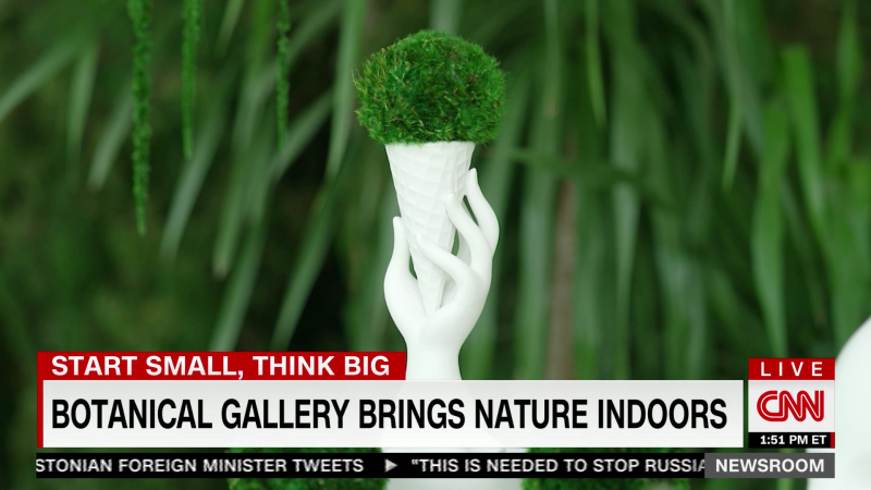 Botanical Art Gallery Brings Nature Indoors CNN   230123104431 Exp Sstb Plant The Future Botanical Art Gallery Aircheck 00002001 