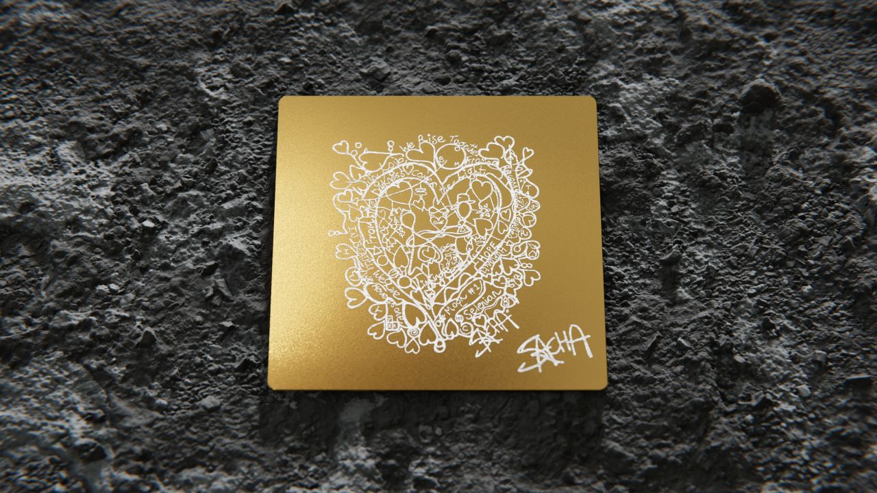 "We Rise Together -- By the Light of the Moon," by Sacha Jafri.