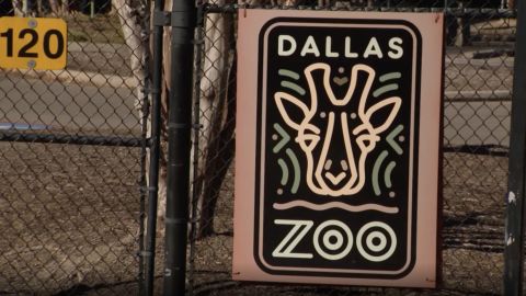 Dallas Zoo to increase security and offers a reward after incidents  involving several animals | CNN