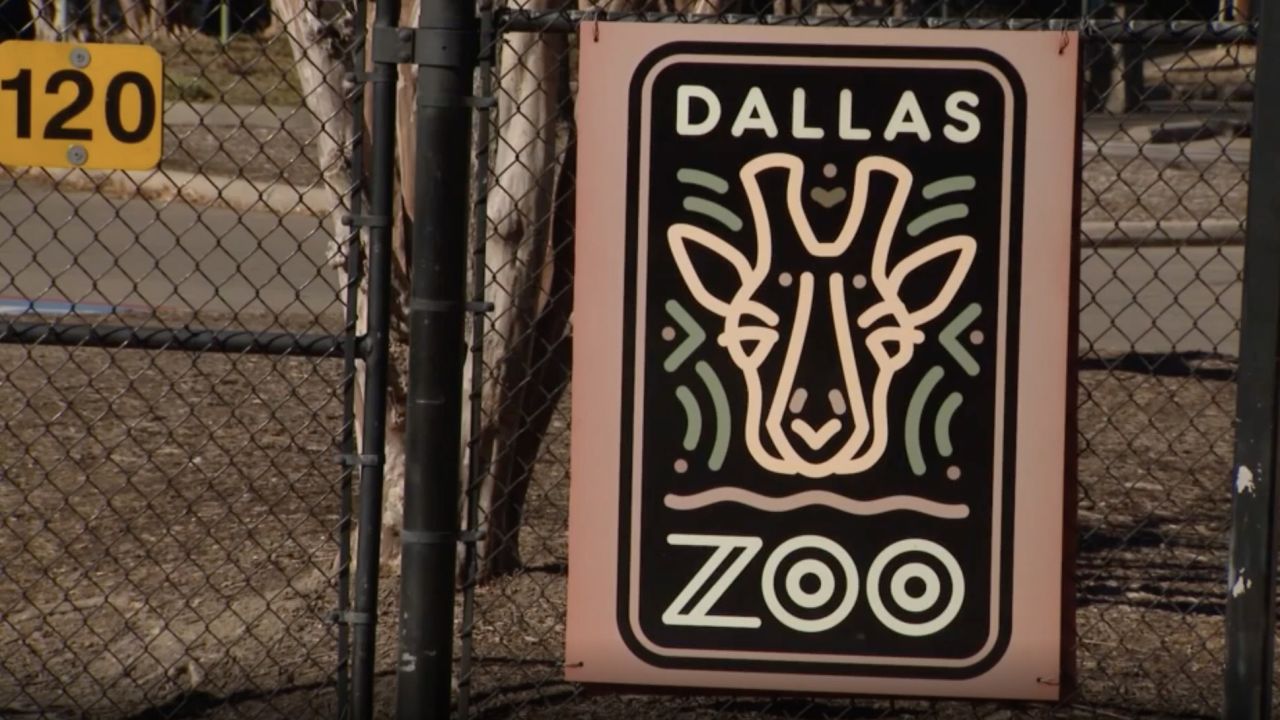 Several incidents at the Dallas Zoo in recent weeks have officials concerned.